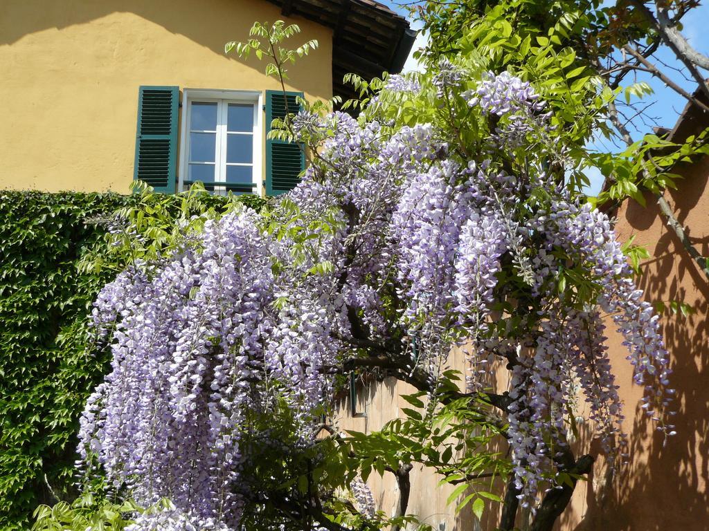 Al Concerto Bed & Breakfast San Benigno Canavese Exterior photo